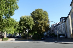  Sommer am Turnplatz 2018