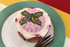 Sommerfest Schützenverein 2018