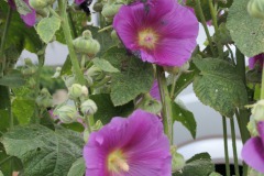 P1055864