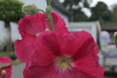 P1055865